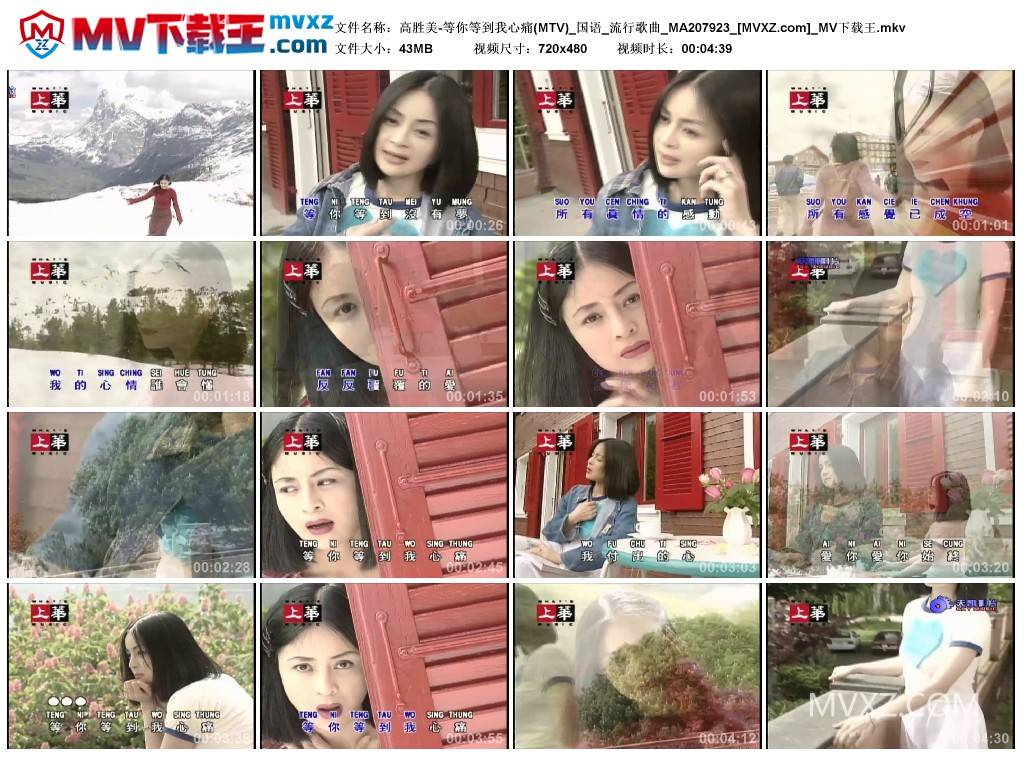 高胜美-等你等到我心痛(MTV)_国语_流行歌曲_MA207923